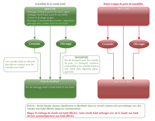 Tableau de traçabilité de la viande halal et de ses dérivés