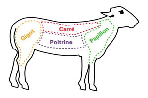 Le Halal - Les morceaux de viande - L'agneau