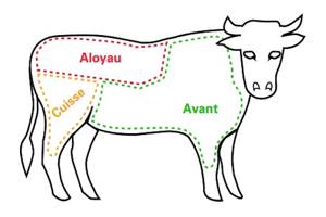 Le Halal - Les morceaux de viande - Le bœuf