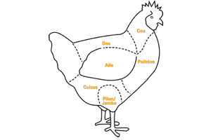 Le Halal - Les morceaux de viande - Le poulet