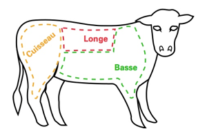 Le Halal - Les morceaux de viande - Le veau